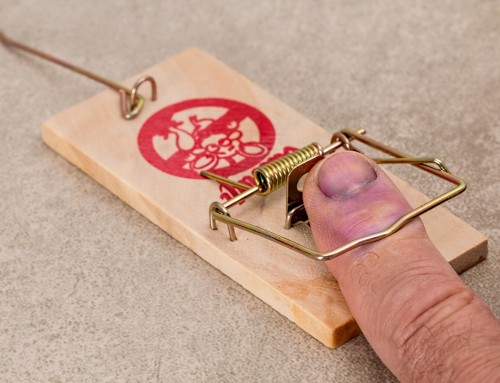 Federal Court Today Orders Credit Repairer (Jordan Malouf & Company) To Pay $1.7 Million